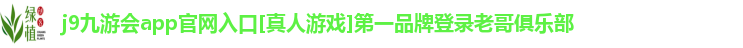 j9九游会app官网入口